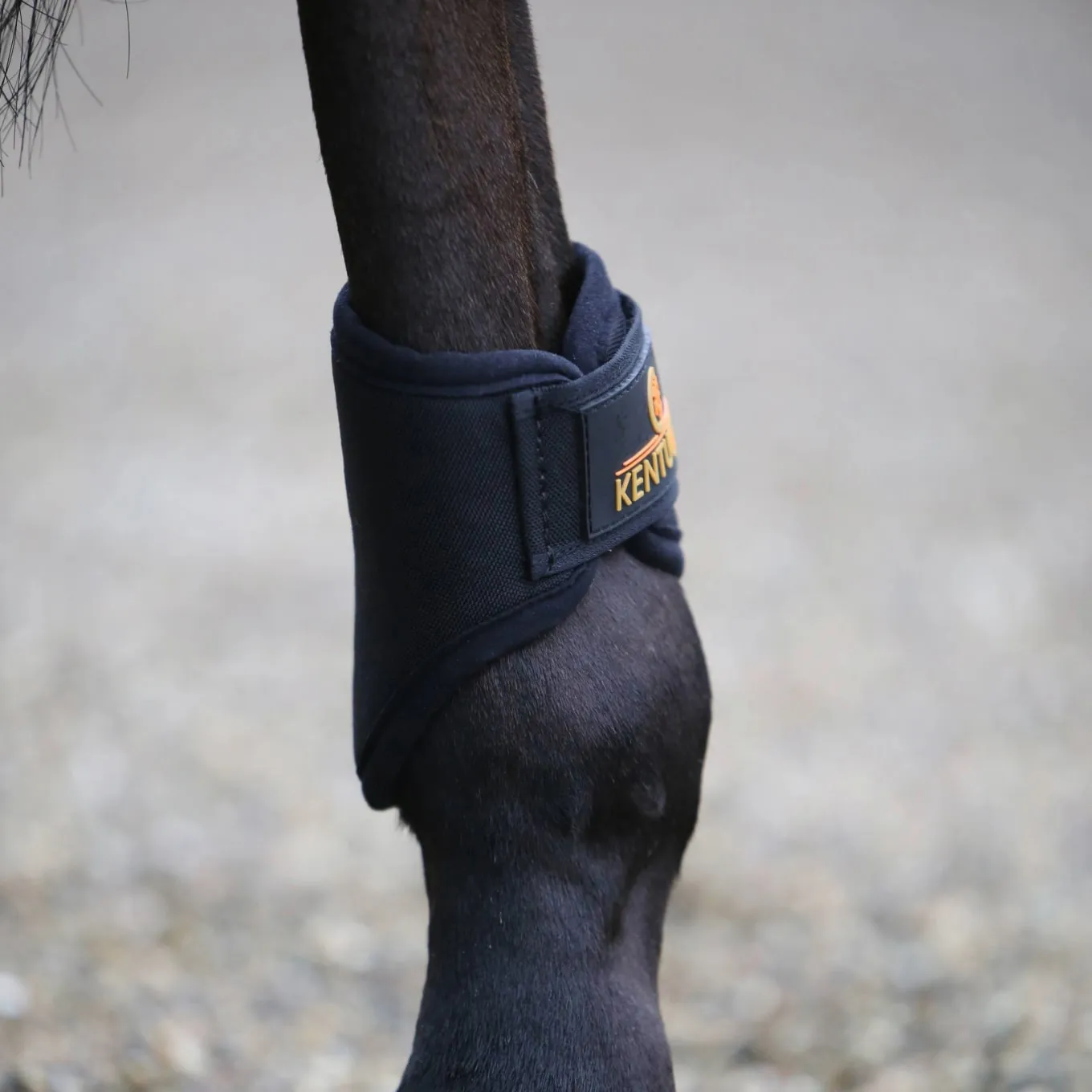 Kentucky Horsewear 3D Spacer Brushing Boots Hind - Black