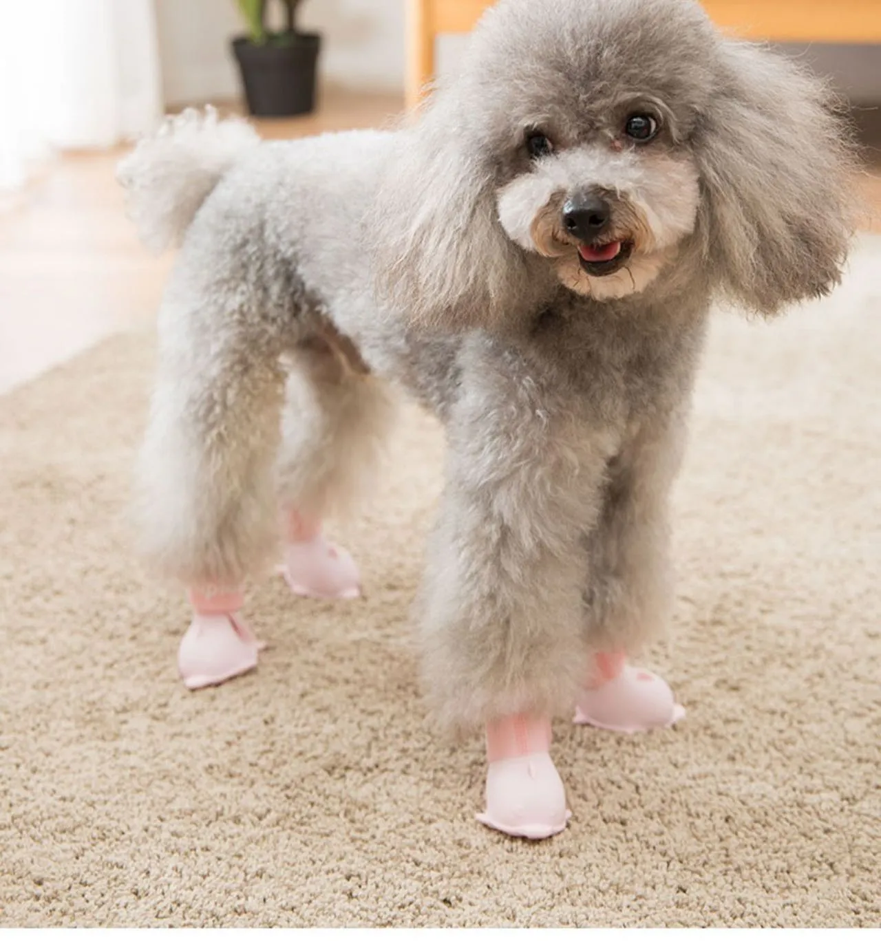 Puppy Candy Colors Rain Shoes (4Pcs) | Dolphin Shape